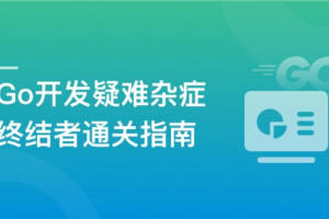 Go开发疑难杂症终结者通关指南【完结】