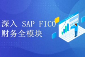 深入浅出学习 SAP S4 HANA FICO 财务全模块