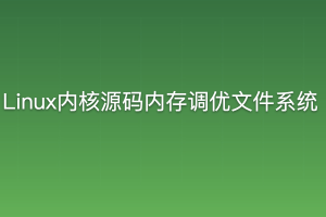 零声 Linux内核源码内存调优文件系统