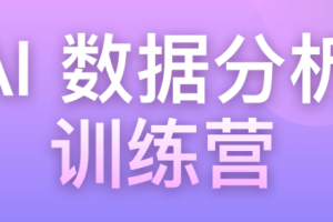 AI数据分析训练营（包更新）