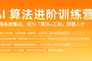极客 AI算法进阶训练营(包更新)