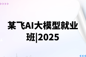 某飞AI大模型就业班|2025