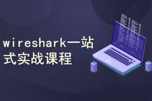 wireshark基础+进阶+实战课程