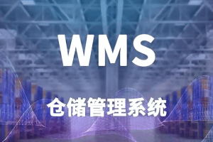 星辰wms智能仓库管理系统项目实战2026
