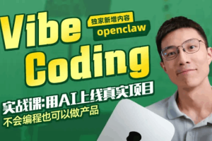 面向新手的Vibe Coding实战课[完结]