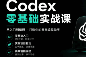 小白也能学会的Codex实战课